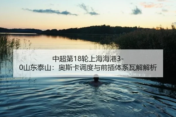 zhong-chao-di-lun-shang-hai-hai-gang-shan-dong-tai-shan-ao-si-ka-diao-du-yu-qian-cha-ti-xi-wa-jie-jie-xi-2-573.jpg